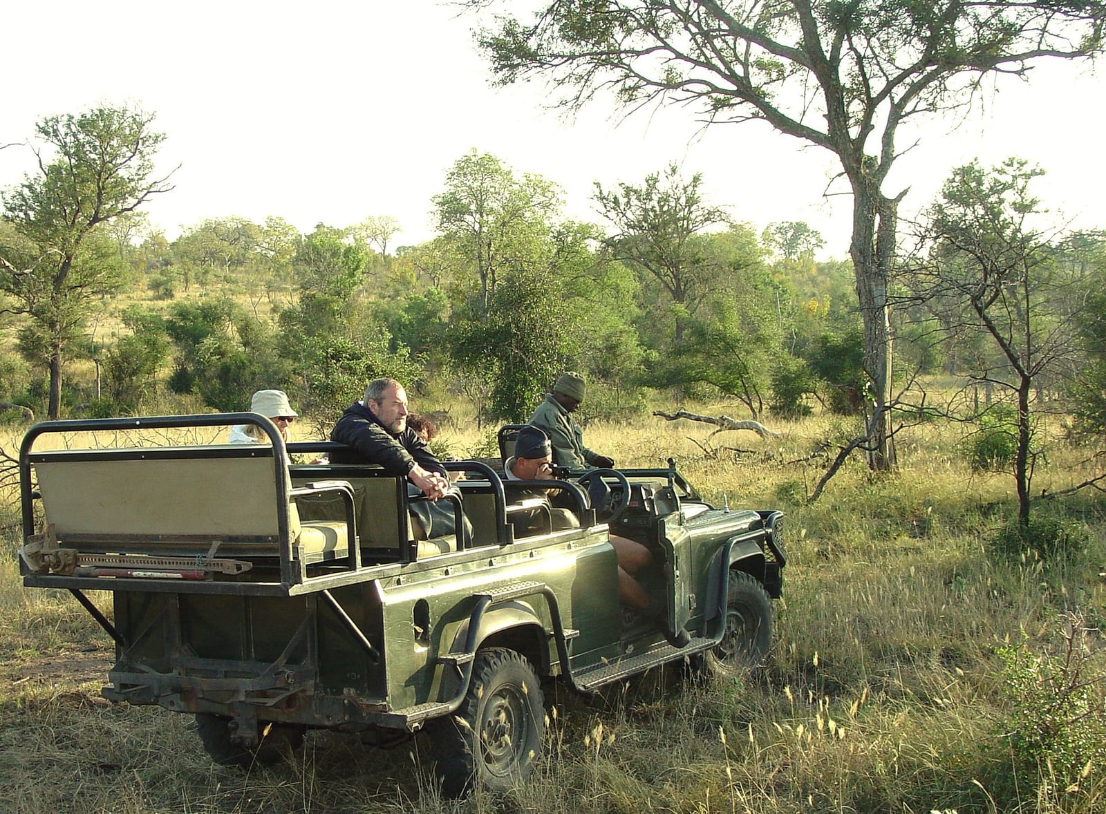 New York City — How to Plan a Safari Without Overpaying
