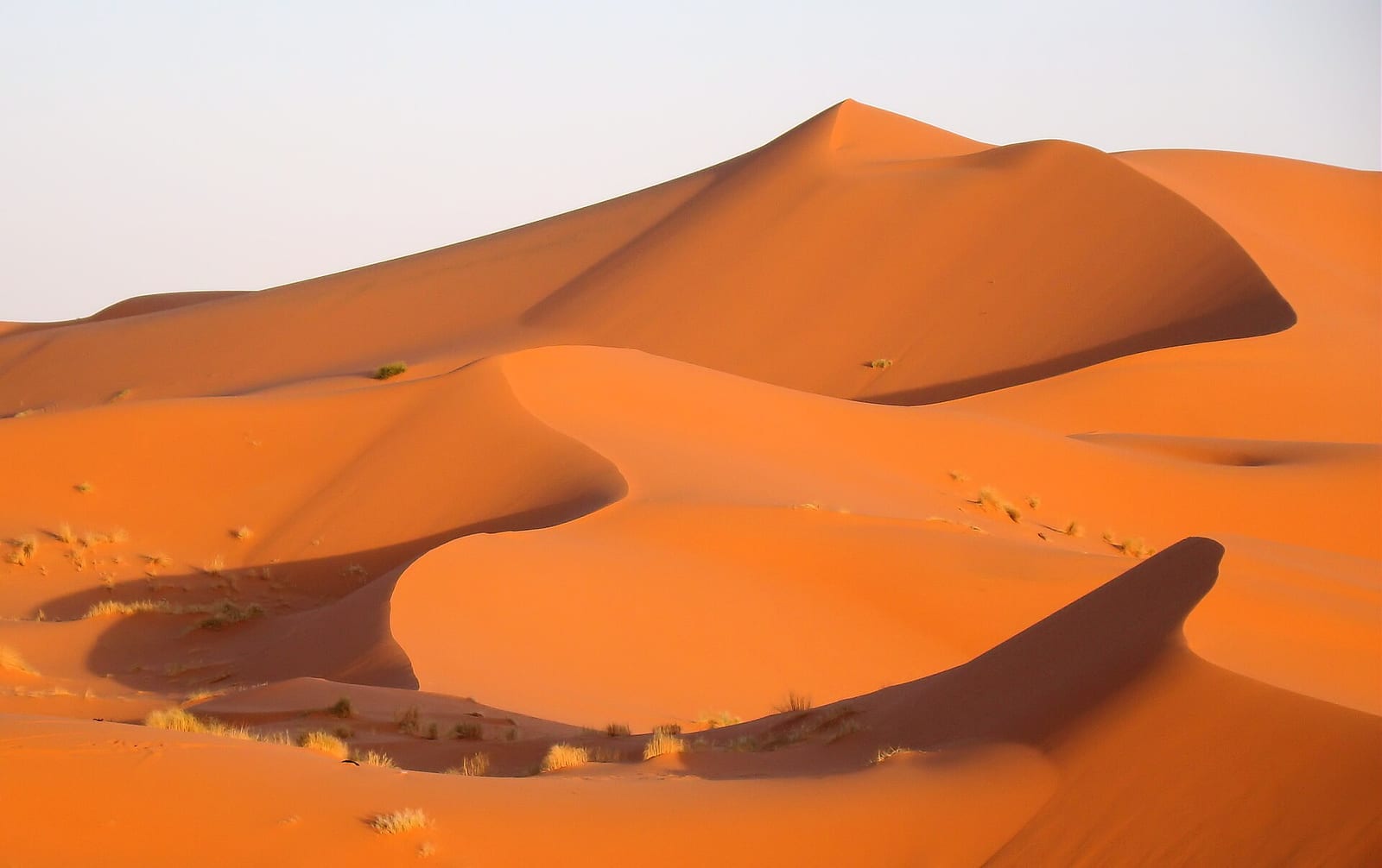 New York City — Ten Days in Morocco