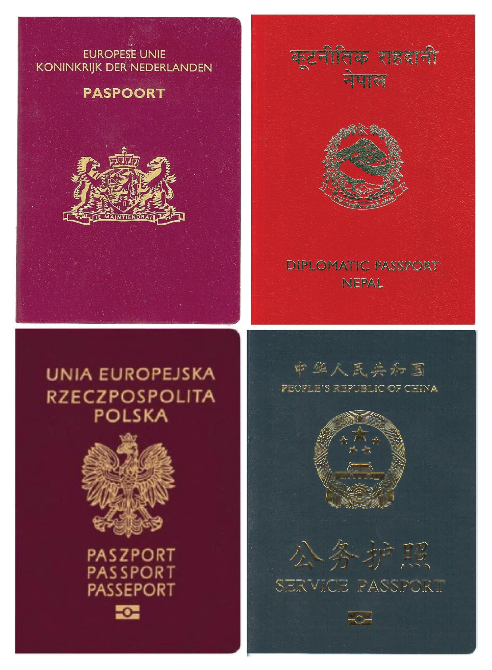 New York City — Visas and Borders
